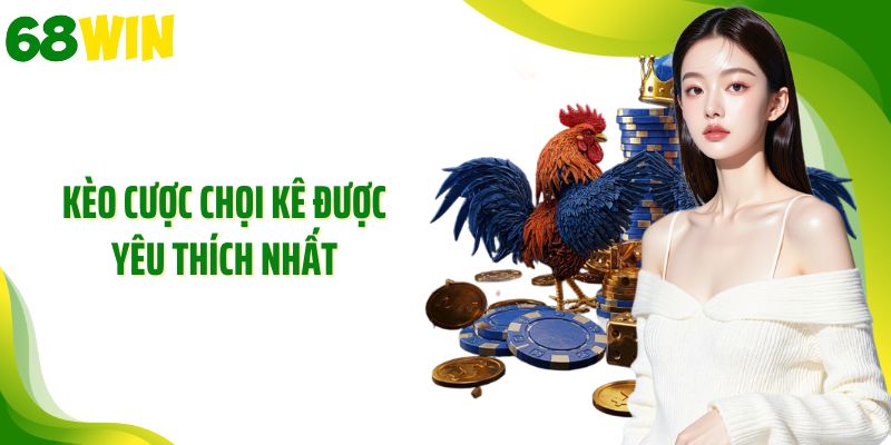 Kèo cược chọi kê được yêu thích nhất